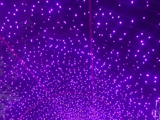 Taichung Park by null