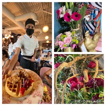 Little Hen - #littlehen - Breakfast & Brunch Near Me - Weston, Florida Little Hen - #littlehen - Breakfast & Brunch Near Me - Weston, Florida