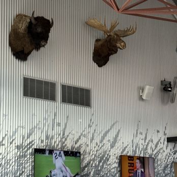 Assembly Icehouse - Wall decor - Sports Bars Near Me - Plano, Texas