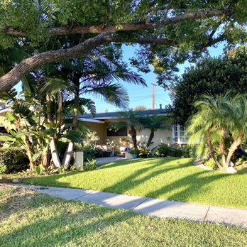 Bernabe Tree Service - Before the tree removals - Tree Services Near Me - Riverside, California