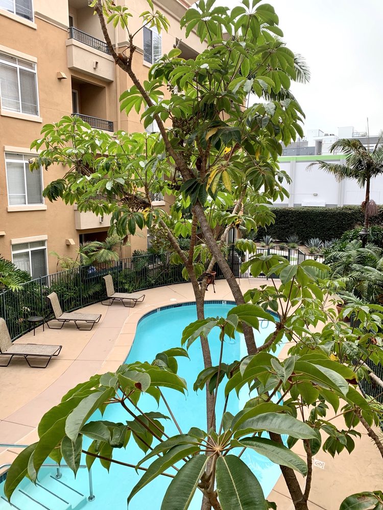 BELLE FONTAINE APARTMENTS Updated August 2024 66 Photos & 63