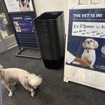 Petco - We hear Dr O' Connor & his staff at Vetco! - Pet Stores Near Me - Huntington Beach, California Petco - We hear Dr O' Connor & his staff at Vetco! - Pet Stores Near Me - Huntington Beach, California