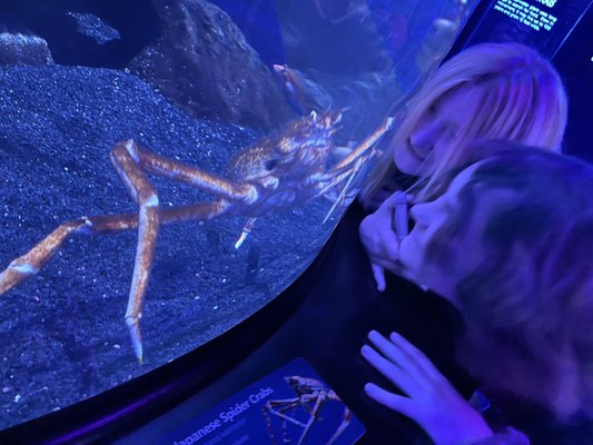 Newport Aquarium by null