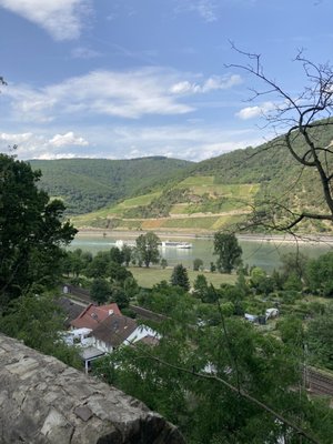 Burg Reichenstein by null