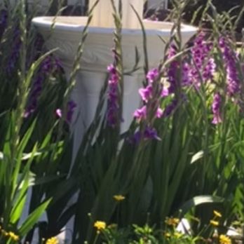 LBC Landscape - Landscape Architects or Designers Near Me LBC Landscape - Landscape Architects or Designers Near Me