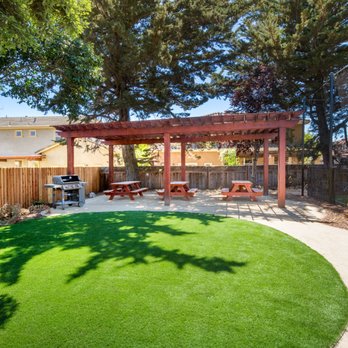 Watersavers Turf - Beautiful outdoor community picnic area - Artificial Turf Near Me - San Rafael, California Watersavers Turf - Beautiful outdoor community picnic area - Artificial Turf Near Me - San Rafael, California