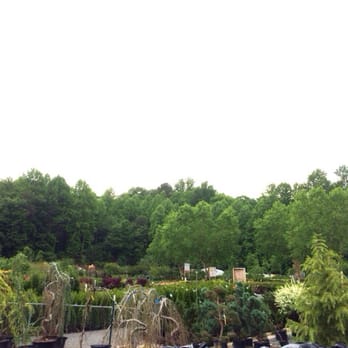 Meadows Farms Nurseries - Manassas - Nurseries & Gardening Near Me - Manassas, Virginia Meadows Farms Nurseries - Manassas - Nurseries & Gardening Near Me - Manassas, Virginia