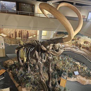 USU Eastern Prehistoric Museum - Museums Near Me - Price, Utah USU Eastern Prehistoric Museum - Museums Near Me - Price, Utah
