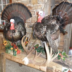 John's Butcher Shop - Taxidermy and skull mount services available.