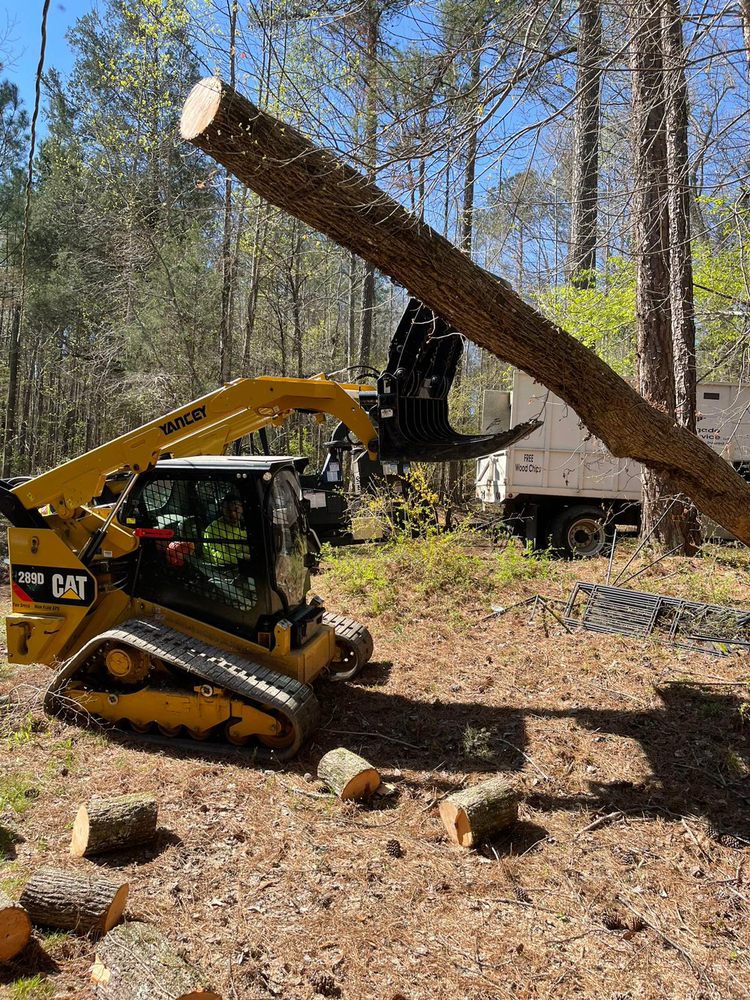 Delgado Tree Service - tree service in Lawrenceville, GA