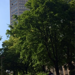 Park am Ebertplatz
