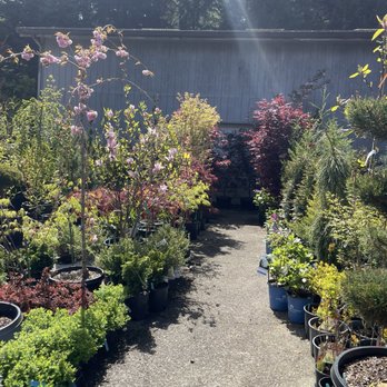 Thompsons' Nursery - Nurseries & Gardening Near Me - Waldport, Oregon Thompsons' Nursery - Nurseries & Gardening Near Me - Waldport, Oregon