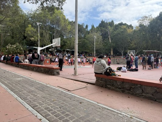 Parque Benito Juárez by null