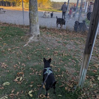 Bangor Dog Park - Dog Parks Near Me - Bangor, Maine Bangor Dog Park - Dog Parks Near Me - Bangor, Maine