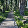 Albany Hill Park gift card