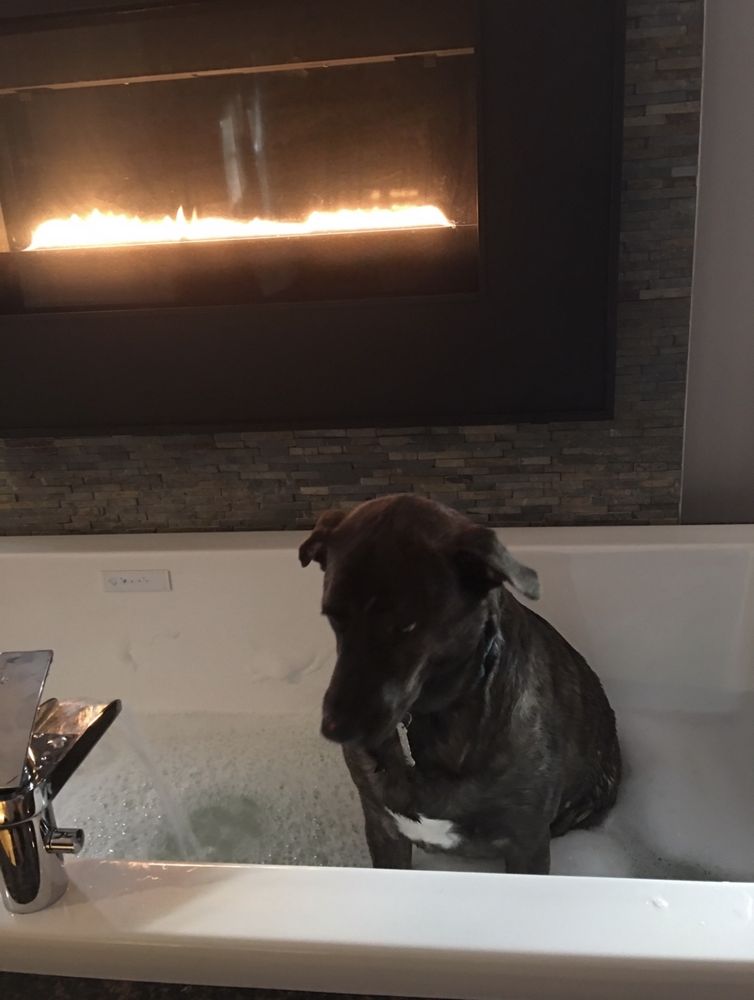 Slide of Holmes Plumbing & Heating