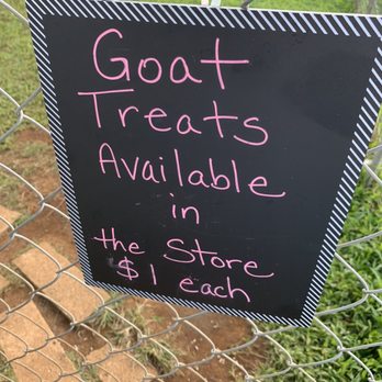 Honomu Goat Dairy - Attraction Farms Near Me - Honomu, Hawaii Honomu Goat Dairy - Attraction Farms Near Me - Honomu, Hawaii