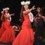 Photo of Hawaii Hula Company