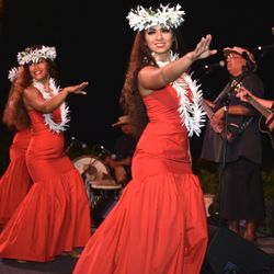Hawaii Hula Company - Hula dancers and Hawaiian Musicians