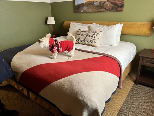 Station House Inn South Lake Tahoe, by Oliver by null