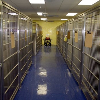 VCA Animal Care Hospital - Veterinarians Near Me - Plano, Texas VCA Animal Care Hospital - Veterinarians Near Me - Plano, Texas