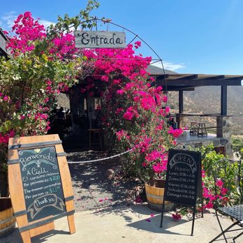 Alfredo's Winery Tours - Wine Tours Near Me - Tijuana, BCN Alfredo's Winery Tours - Wine Tours Near Me - Tijuana, BCN