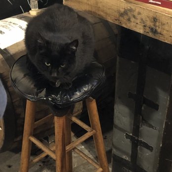 Black Pond Brews - Mr.Kitty - Breweries Near Me - Dayville, Connecticut