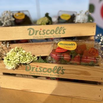 Ventura County Farm Day - Driscoll - Local Flavor Near Me Ventura County Farm Day - Driscoll - Local Flavor Near Me