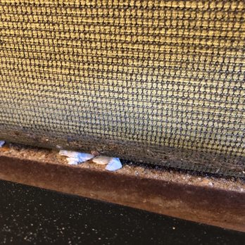 Panera Bread - Dining booth table 62 loaded with crumbs! - Sandwiches Near Me - Frankfort, Illinois Panera Bread - Dining booth table 62 loaded with crumbs! - Sandwiches Near Me - Frankfort, Illinois