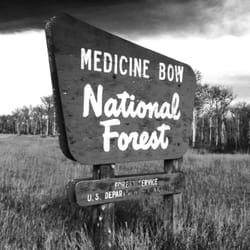 Medicine Bow National Forest - West entrance along 70.