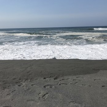 Gold Bluffs Beach & Campground - Gold Bluffs Beach - Campgrounds Near Me - Orick, California