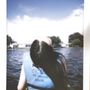 Photo of California Windsurfing