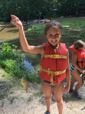 Valley Mill Camp 14 Reviews Summer Camps 15101 Seneca Rd Germantown Md United States Phone Number