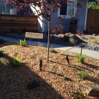 Behr Landscape Construction - Drought tolerant - Landscaping Near Me - Vacaville, California Behr Landscape Construction - Drought tolerant - Landscaping Near Me - Vacaville, California