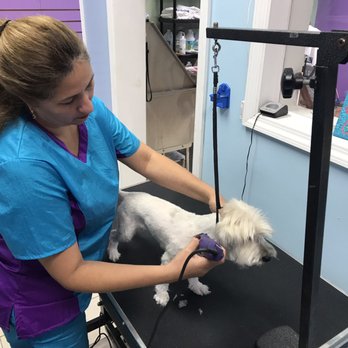 Your Pet's Paradise - Pet Groomers Near Me - Yonkers, New York Your Pet's Paradise - Pet Groomers Near Me - Yonkers, New York