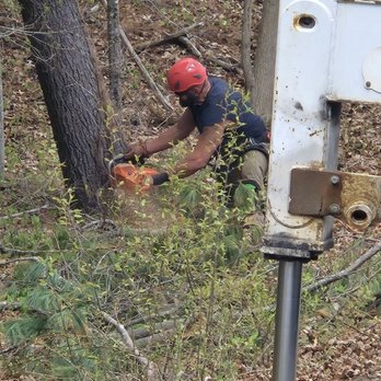 SeMass Tree Service - This guy is a master of his craft...from the rope work high above to the many rubs he gave to the four legged onlookers... - Tree Services Near Me - East Freetown, Massachusetts SeMass Tree Service - This guy is a master of his craft...from the rope work high above to the many rubs he gave to the four legged onlookers... - Tree Services Near Me - East Freetown, Massachusetts
