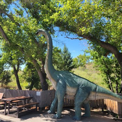 Dinosaur Ridge Main Visitor Center by null