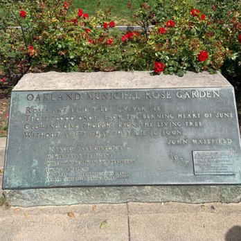 Morcom Municipal Rose Garden - Parks Near Me - Oakland, California
