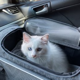 First vet trip First vet trip