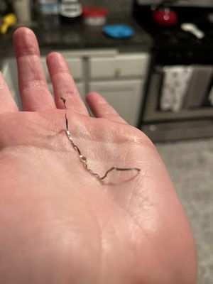 China Gourmet by null