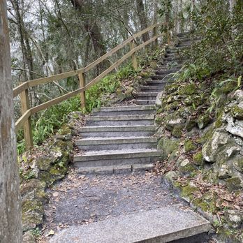 Ravine Gardens State Park - Parks Near Me - Palatka, Florida