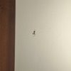 Colonial Motel gift card