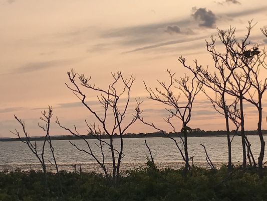 Jamaica Bay Wildlife Refuge by null