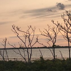 Jamaica Bay Wildlife Refuge