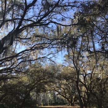 Moss Park - Split Oak Trail at Moss Park - Parks Near Me - Orlando, Florida