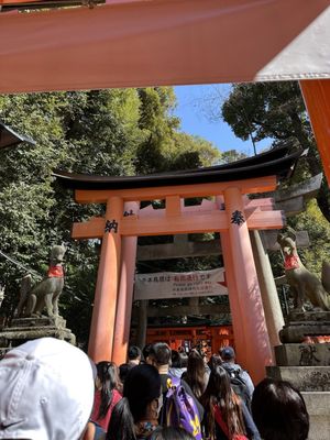 Fushimi Inari Taisha by null