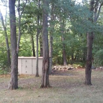 Advanced Tree - Before - Tree Services Near Me - Seekonk, Massachusetts