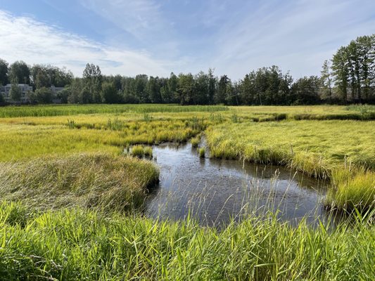 Tony Knowles Coastal Trail by null