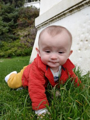 Cape Meares Lighthouse by null
