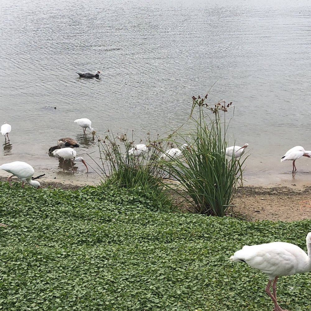 Oak Lake Park - Parks Near Me - Hollywood, Florida Oak Lake Park - Parks Near Me - Hollywood, Florida